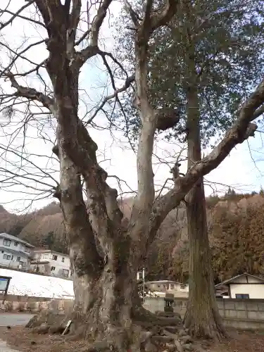 諏訪大社上社前宮(長野県)