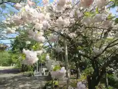 松尾寺(京都府)