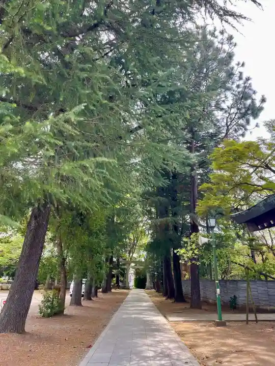 諏訪神社の{uncategorized: "未分類", other: "その他", undefined: "問題あり", building: "その他建物", grave: "お墓", sacred_gate: "鳥居", guardian: "狛犬", statue: "像", buddha: "仏像", history: "歴史", nature: "自然", garden: "庭園", animal: "動物", pagoda: "塔", temizu: "手水舎", mountain_gate: "山門・神門", sanctuary: "本殿・本堂", subordinate: "末社・摂社", art: "芸術", scenery: "景色", jizo: "地蔵", ema: "絵馬", goshuin: "御朱印", omikuji: "おみくじ", items: "授与品その他", amulet: "お守り", goshuincho: "御朱印帳", eats: "食事", festival: "お祭り", votive_dance: "神楽", shichigosan: "七五三参", wedding: "結婚式", experience: "体験その他", initially: "初詣", around: "周辺", anti_infection: "感染症対策"}