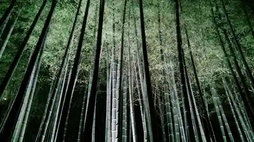 青蓮院門跡(京都府)