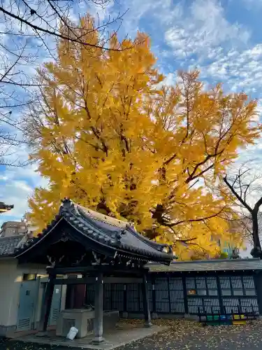 善福寺(東京都)