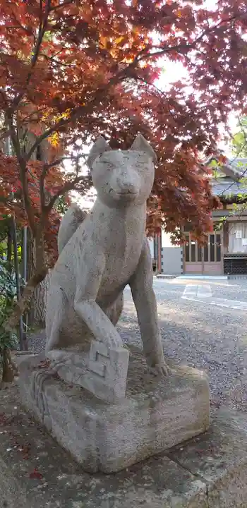 三軒地稲荷神社の狛犬
