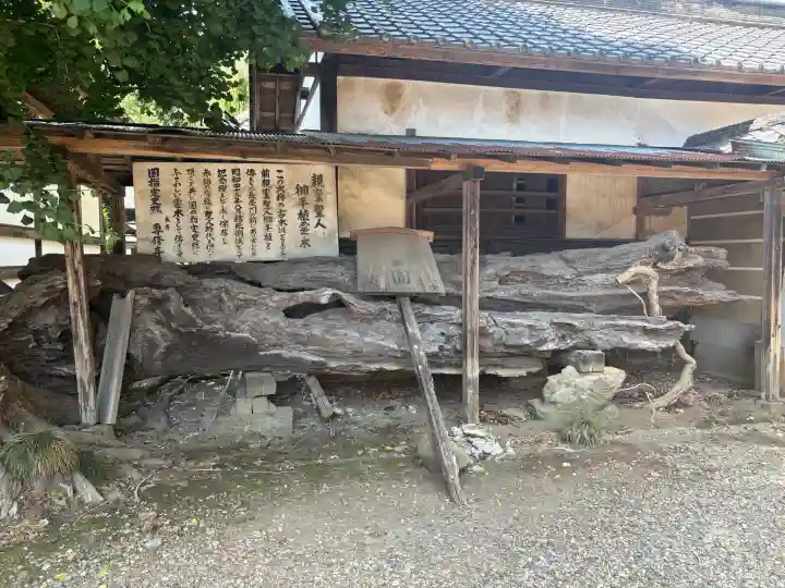 専修寺(栃木県)