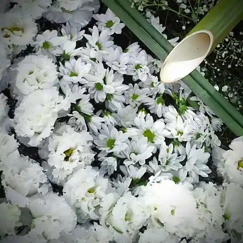 東京羽田 穴守稲荷神社の手水舎