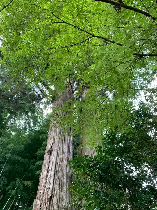 羽梨山神社(茨城県)