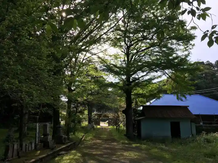 高藤山 妙勝寺の自然
