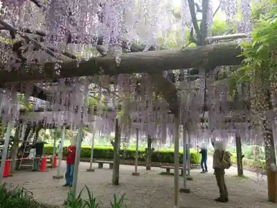 箭弓稲荷神社の{uncategorized: "未分類", other: "その他", undefined: "問題あり", building: "その他建物", grave: "お墓", sacred_gate: "鳥居", guardian: "狛犬", statue: "像", buddha: "仏像", history: "歴史", nature: "自然", garden: "庭園", animal: "動物", pagoda: "塔", temizu: "手水舎", mountain_gate: "山門・神門", sanctuary: "本殿・本堂", subordinate: "末社・摂社", art: "芸術", scenery: "景色", jizo: "地蔵", ema: "絵馬", goshuin: "御朱印", omikuji: "おみくじ", items: "授与品その他", amulet: "お守り", goshuincho: "御朱印帳", eats: "食事", festival: "お祭り", votive_dance: "神楽", shichigosan: "七五三参", wedding: "結婚式", experience: "体験その他", initially: "初詣", around: "周辺", anti_infection: "感染症対策"}