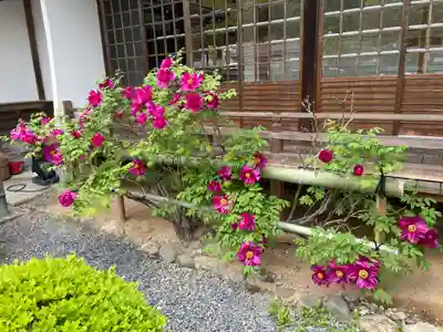 南院(和歌山県)