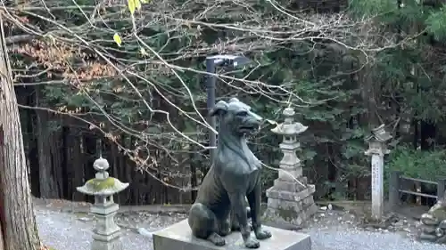 三峯神社の狛犬