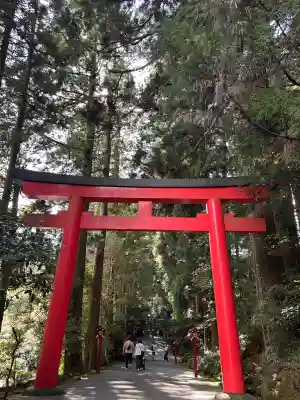箱根神社(神奈川県)