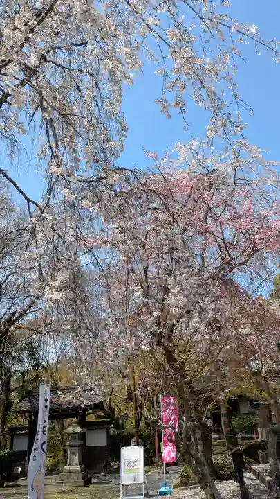 松ヶ崎大黒天 妙圓寺(妙円寺)(京都府)