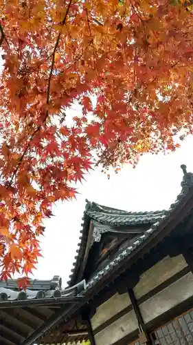 今村宮の本殿・本堂