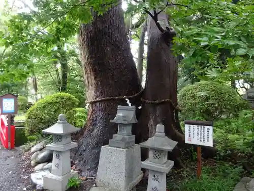 米之宮浅間神社の自然
