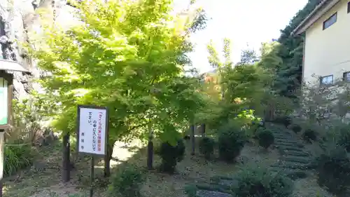 西宗寺(山口県)