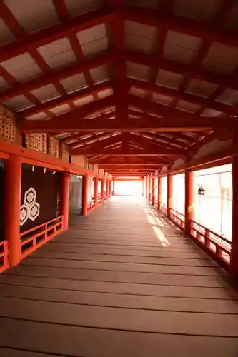厳島神社(広島県)
