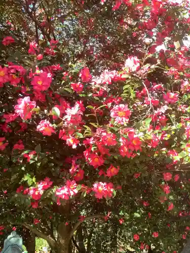 八事山 興正寺の自然