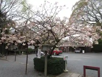 大報恩寺（千本釈迦堂）のその他建物
