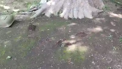 酒門神社のその他建物