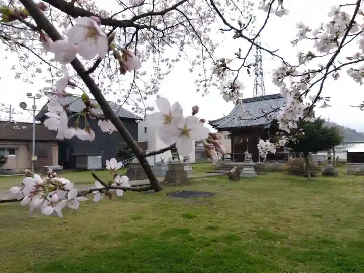 日吉神社(福井県)
