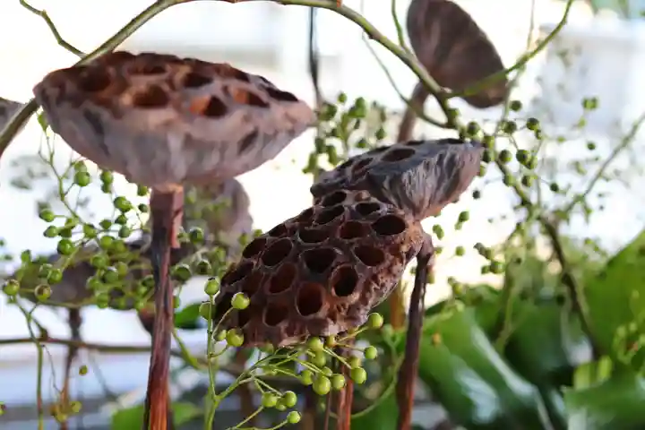三津厳島神社(愛媛県)