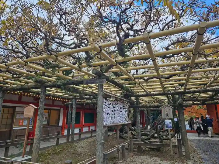 春日大社(奈良県)