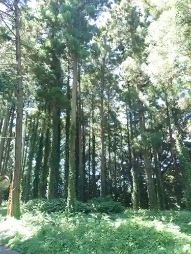 無量光寺(神奈川県)
