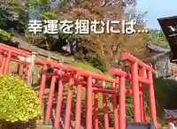 白狐山光星寺(山形県)