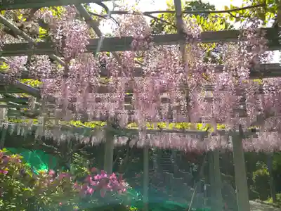 阿智神社(岡山県)