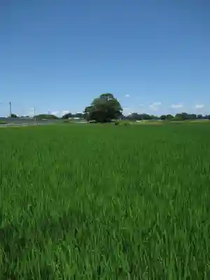 神明神社(千葉県)
