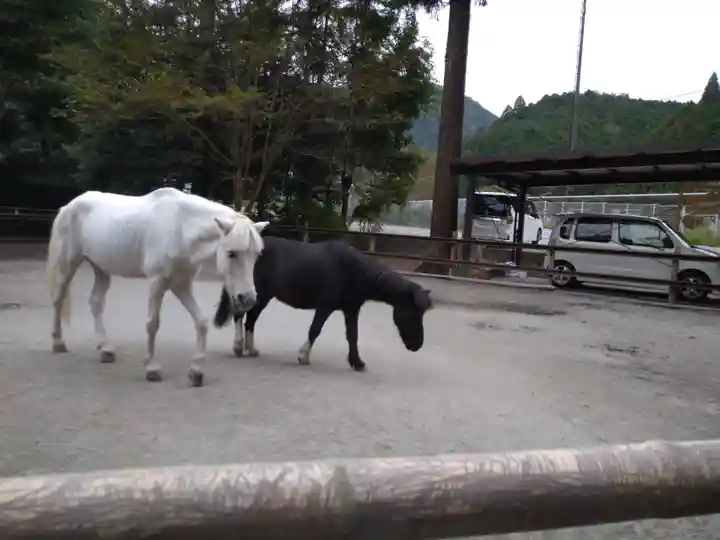 丹生川上神社(下社)の動物