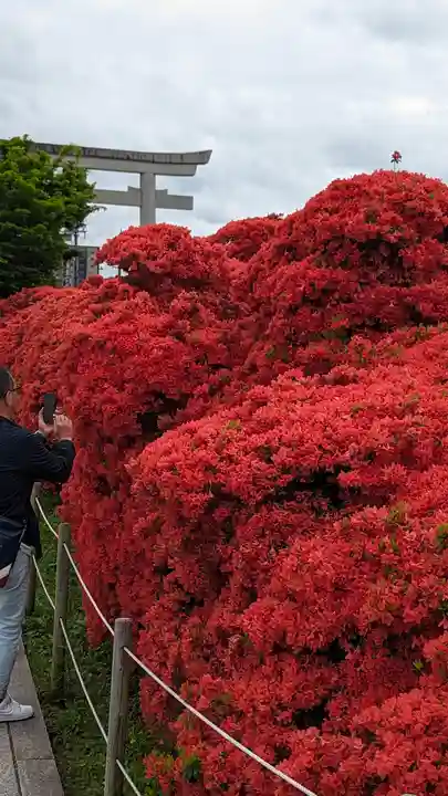 長岡天満宮(京都府)