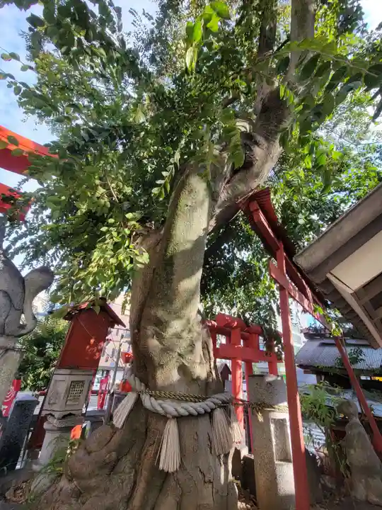 常楽寺六角堂稲荷大明神(愛媛県)