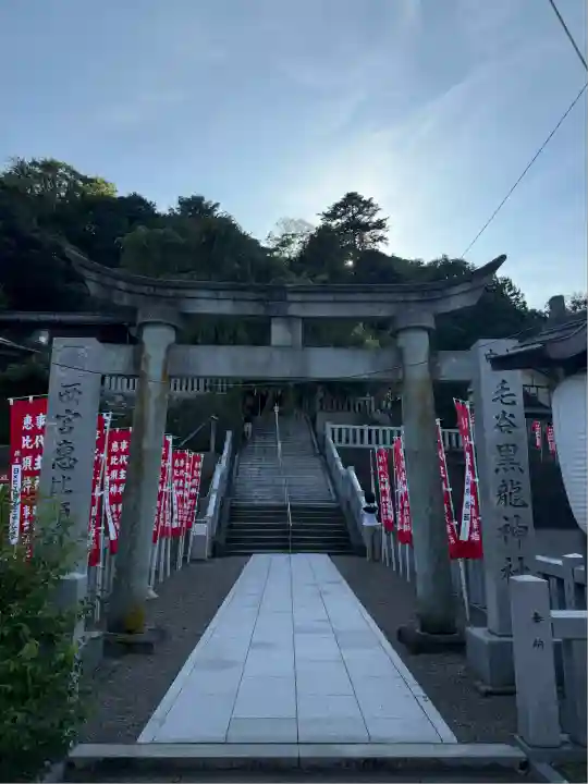 毛谷黒龍神社(福井県)