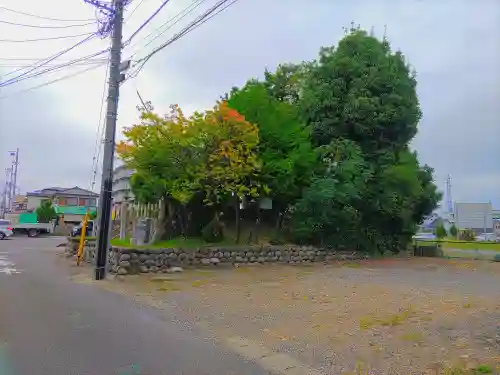 愛宕社（勝川町）の自然