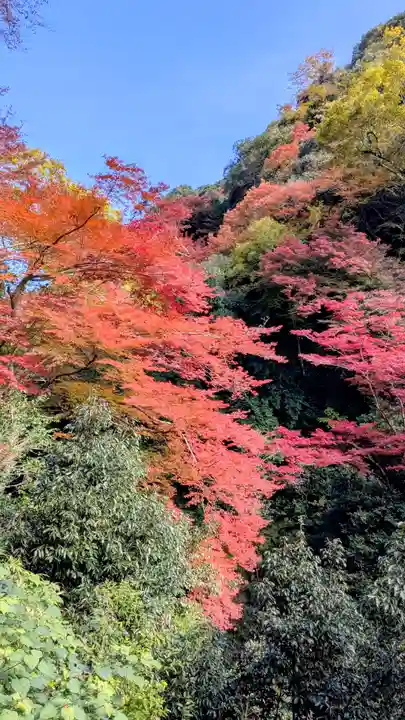 勝尾寺(大阪府)