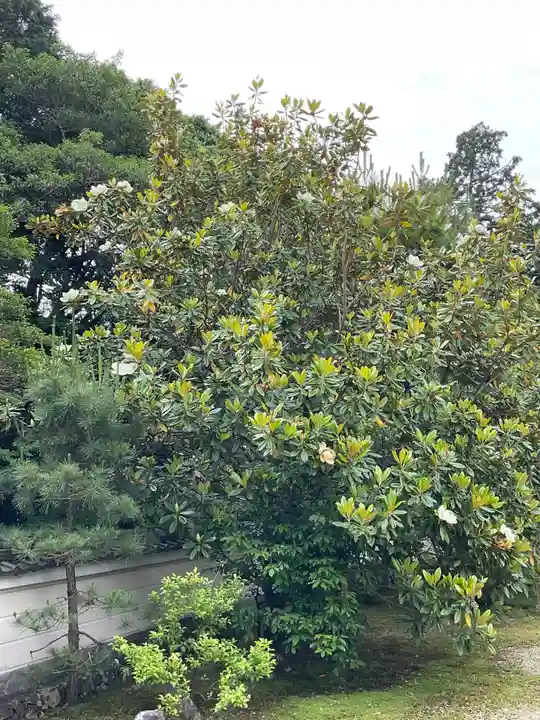 秋篠寺(奈良県)