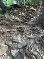 三峯神社奥宮(埼玉県)