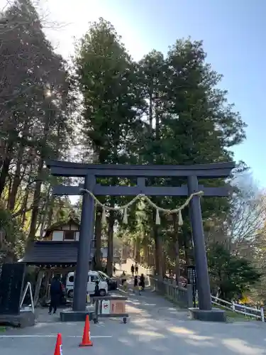 戸隠神社中社の鳥居