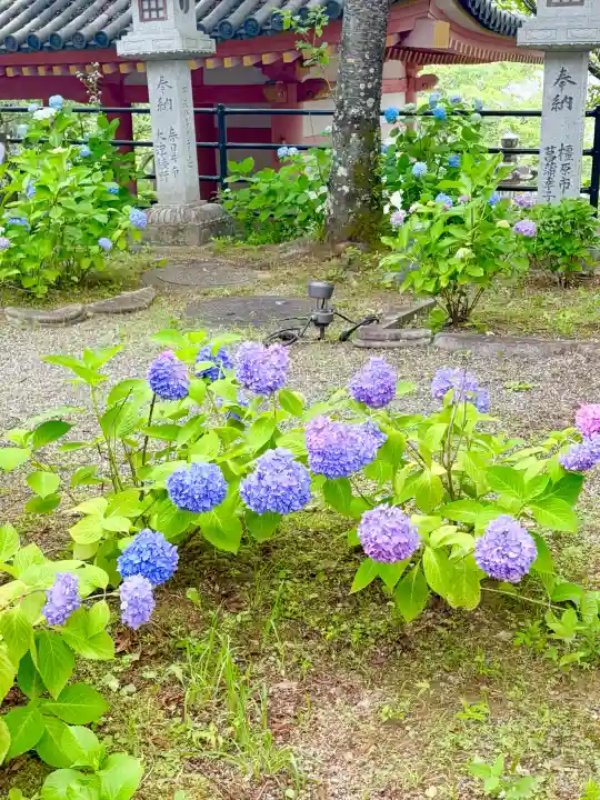南法華寺(壷阪寺)(奈良県)
