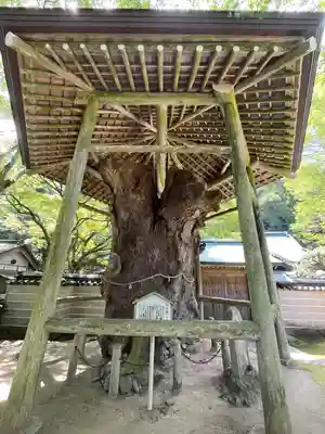 根香寺(香川県)