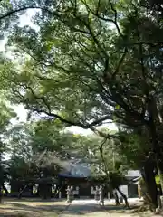 犬ヶ坪神明社(愛知県)