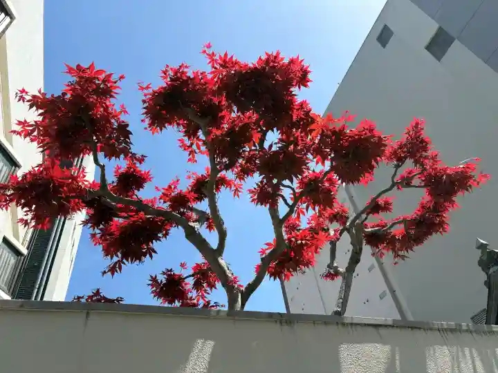 智源寺の{uncategorized: "未分類", other: "その他", undefined: "問題あり", building: "その他建物", grave: "お墓", sacred_gate: "鳥居", guardian: "狛犬", statue: "像", buddha: "仏像", history: "歴史", nature: "自然", garden: "庭園", animal: "動物", pagoda: "塔", temizu: "手水舎", mountain_gate: "山門・神門", sanctuary: "本殿・本堂", subordinate: "末社・摂社", art: "芸術", scenery: "景色", jizo: "地蔵", ema: "絵馬", goshuin: "御朱印", omikuji: "おみくじ", items: "授与品その他", amulet: "お守り", goshuincho: "御朱印帳", eats: "食事", festival: "お祭り", votive_dance: "神楽", shichigosan: "七五三参", wedding: "結婚式", experience: "体験その他", initially: "初詣", around: "周辺", anti_infection: "感染症対策"}