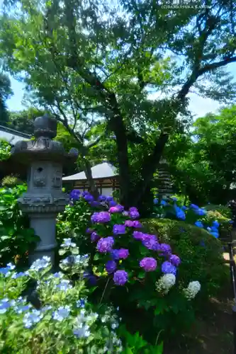 妙楽寺(神奈川県)