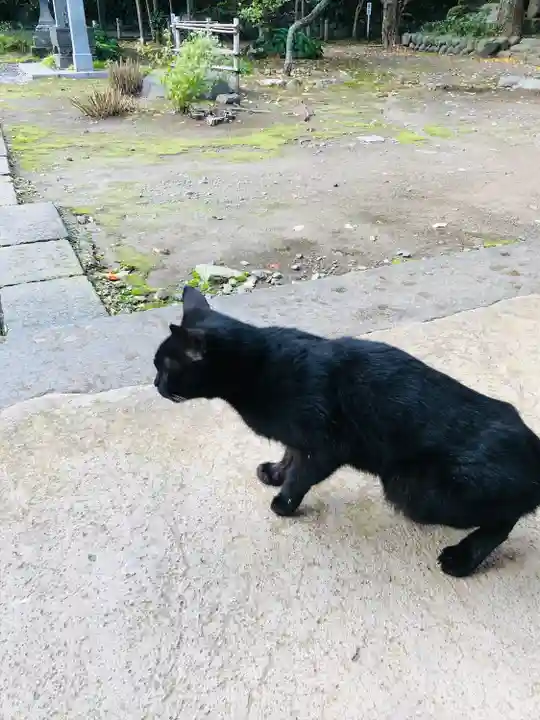 蚶満寺(秋田県)