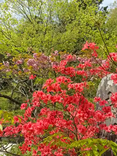 古峯神社の御朱印