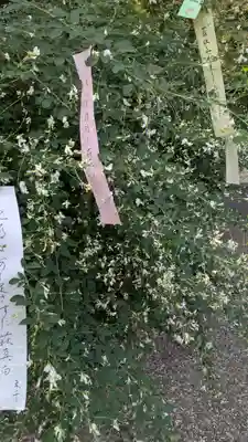 梨木神社(京都府)