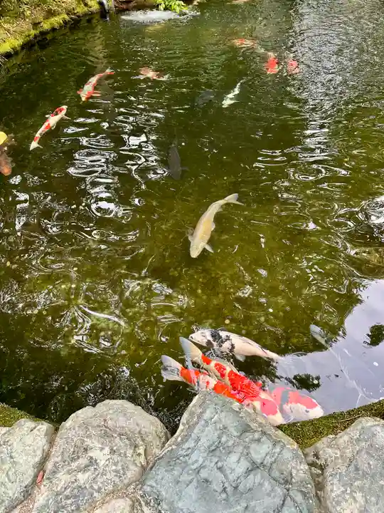 伊勢神宮内宮(皇大神宮)(三重県)