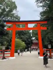 賀茂御祖神社（下鴨神社）(京都府)