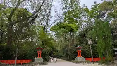 賀茂御祖神社（下鴨神社）の自然