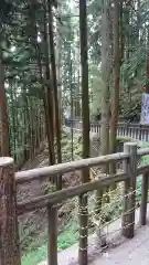 武蔵御嶽神社の自然